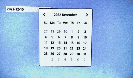 DateInput-3